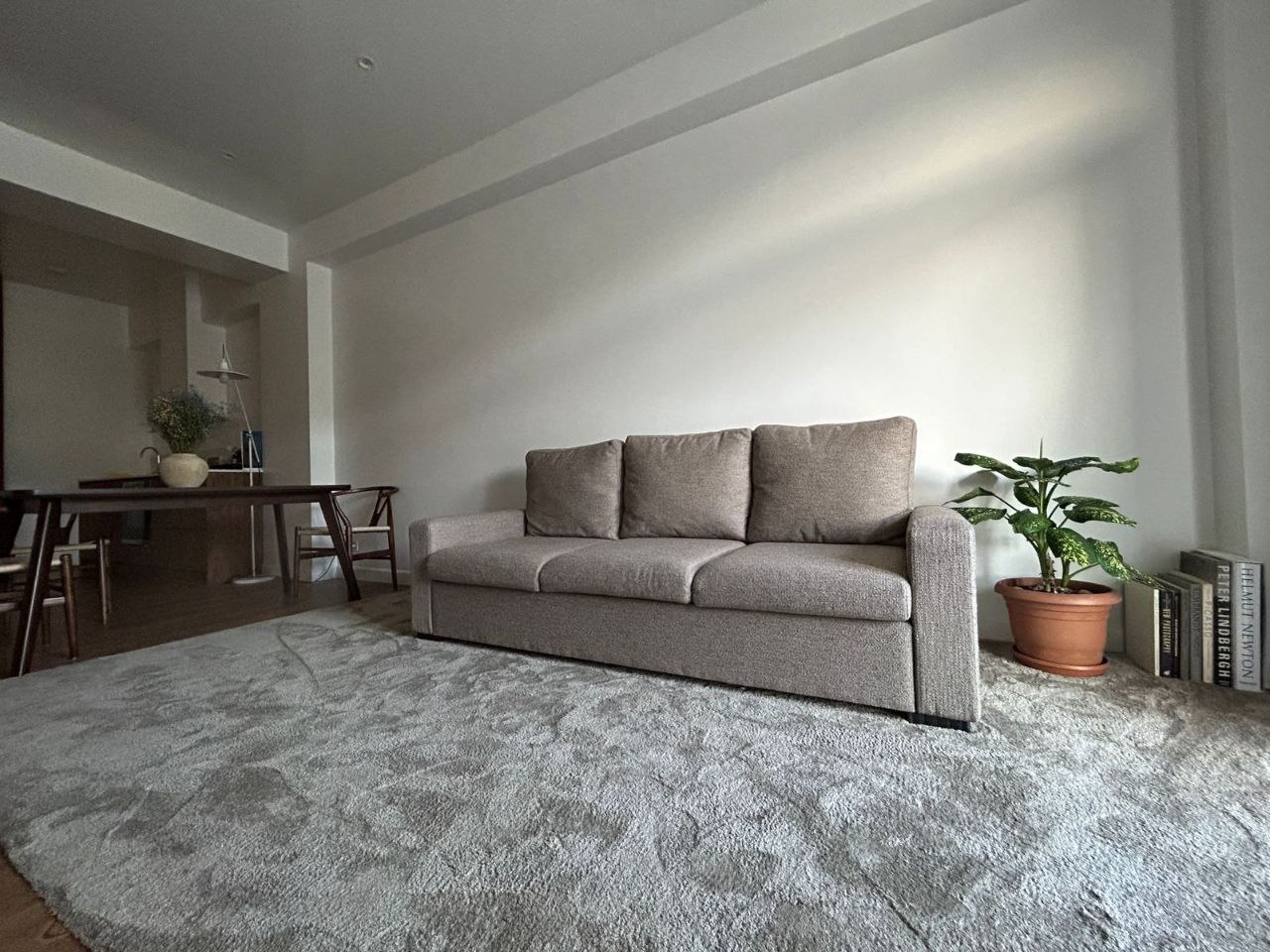 Functionality and Coziness: Studio Apartment Interior Design