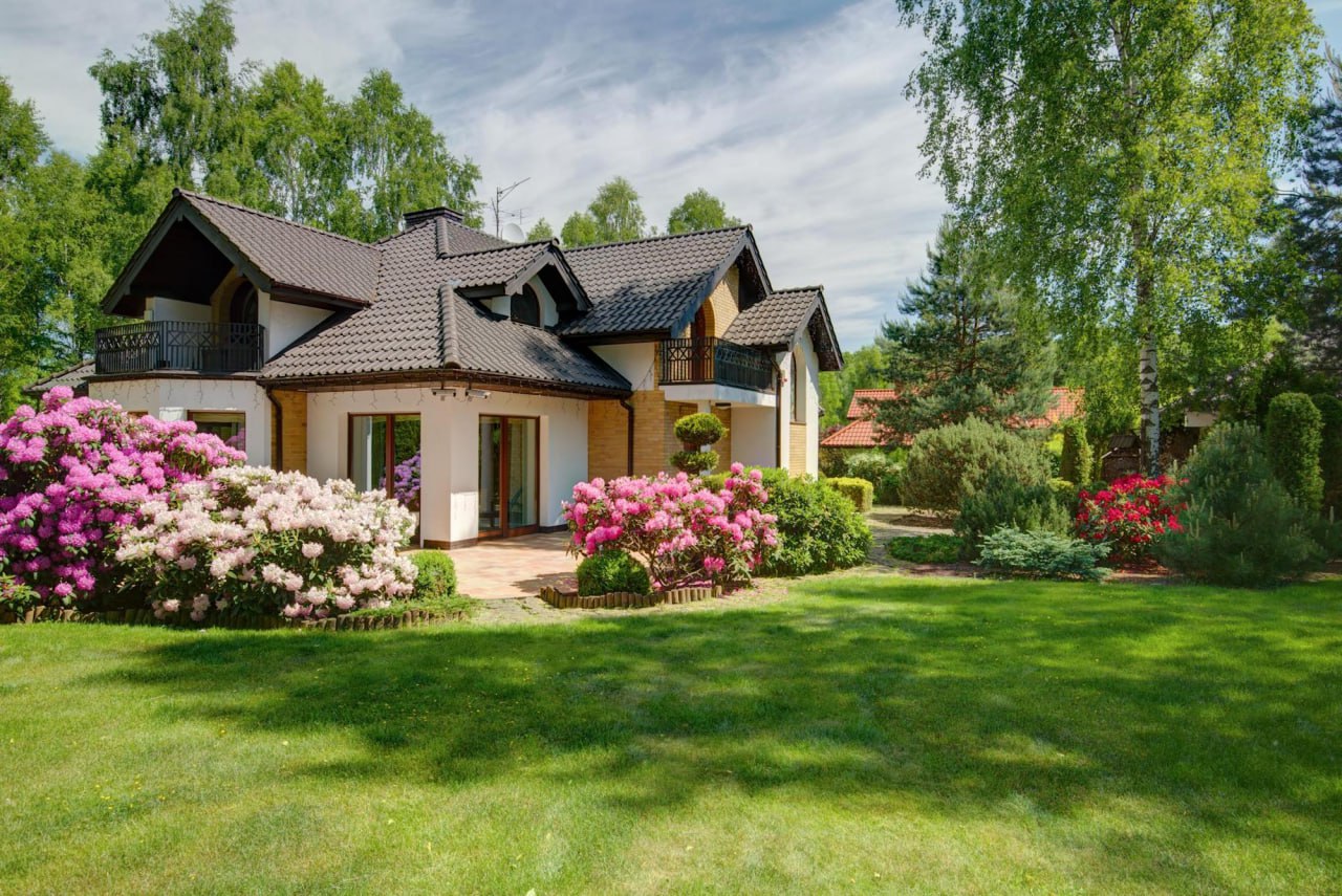 Revitalize Your Lawn After Winter: Expert Tips from Planirovki.by