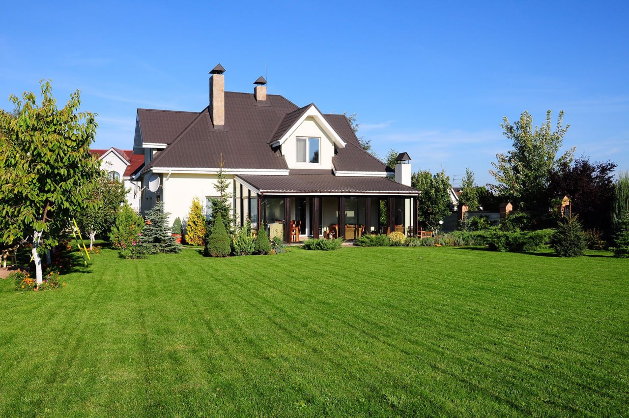Lawn Care After Snow: How to Revive Your Grass