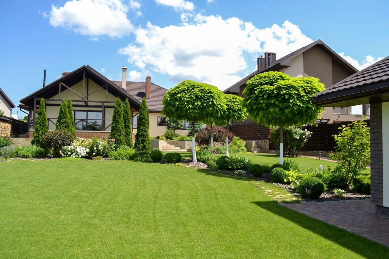 Lawn Care After Winter: How to Prepare for Summer