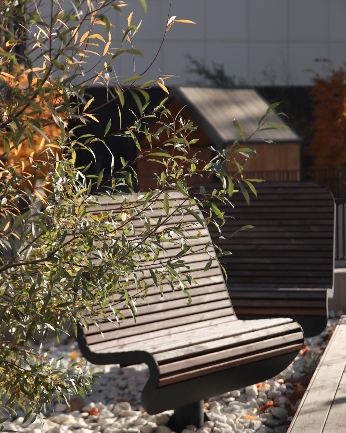 Morning Sun Showcases the Beauty of Levada Residential Complex