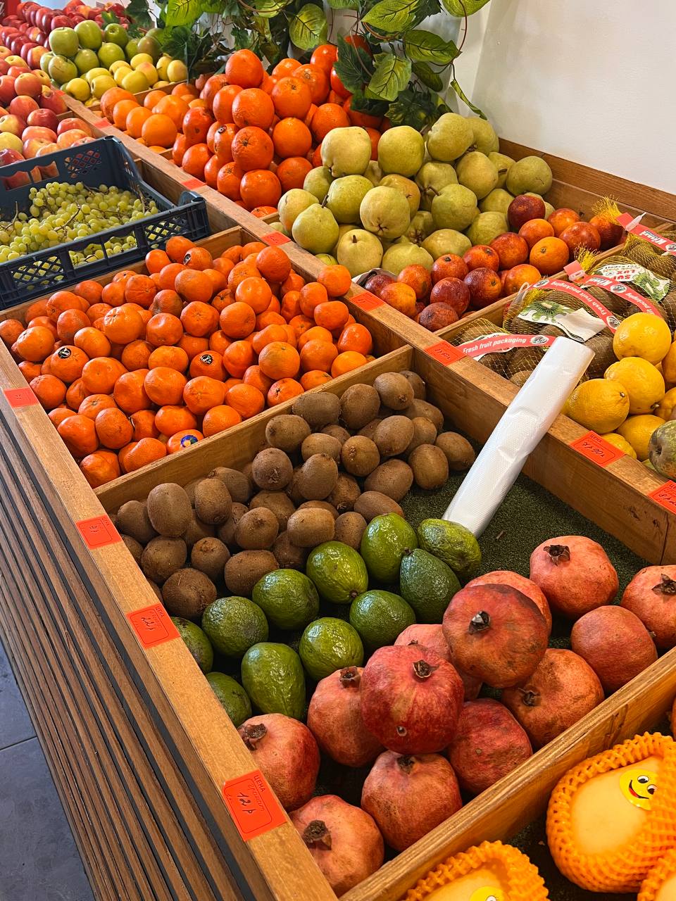 Create Your Perfect Dinner: All You Need for a Healthy Meal in One Place!